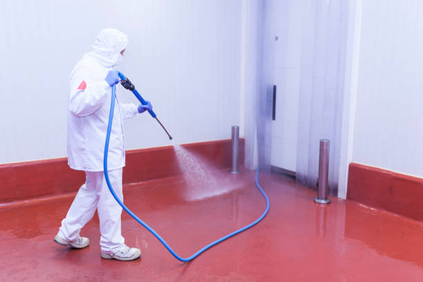 Reliable Wenonah, NJ Pressure Washing Solutions